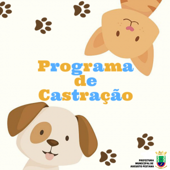 Município inicia Programa de Controle Populacional de cães e gatos